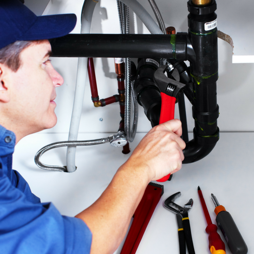 resizecom_9f3003c1069793ec61fb205879c1a4d3 (1)